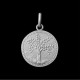 Olive Tree or Tree of Life 1